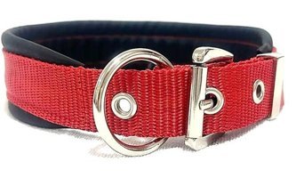 Ehlipet Ayarlanabilir Boyun Köpek Tasması 4 x 50 - 40 cm Kırmızı