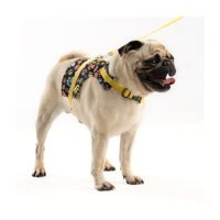 Patipatron Kaçış Önleyici Ayarlanabilir Göğüs Köpek Tasması XS Sarı