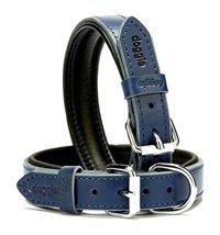 Doggie Firstclass Ayarlanabilir Boyun Köpek Tasması 2.5 x 37 - 45 cm Mavi