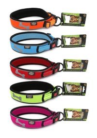 Reddingo 203175 Ayarlanabilir Boyun Köpek Tasması Çok Renkli