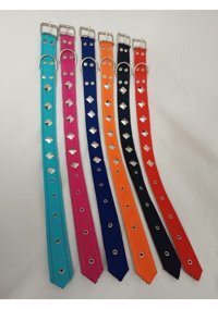 Kozaklı Ayarlanabilir Köpek Tasması 4 x 70 cm Çok Renkli