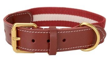 Worryfree Ayarlanabilir Boyun Köpek Tasması XL Bordo