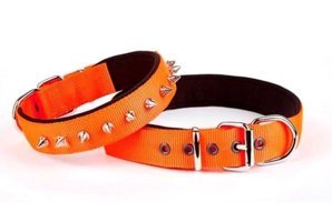 Doggie Comfort Ayarlanabilir Boyun Köpek Tasması 2.5 x 42 - 50 cm Turuncu