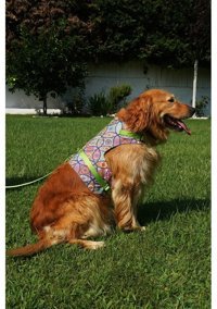 Patipatron Kaçış Önleyici Ayarlanabilir Göğüs Köpek Tasması 4XL Yeşil