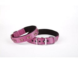 Doggie Dsbt-2062m Ayarlanabilir Boyun Köpek Tasması 2 x 35 - 40 cm Mor