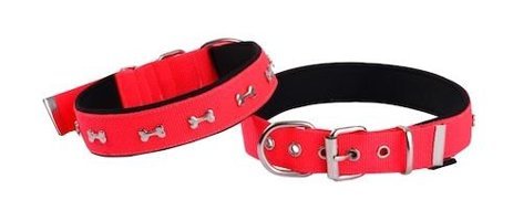 Actirex Ayarlanabilir Boyun Köpek Tasması L Kırmızı