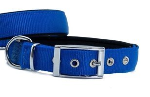 Doggie Elit Ayarlanabilir Boyun Köpek Tasması 2.5 x 37 - 45 cm Mavi