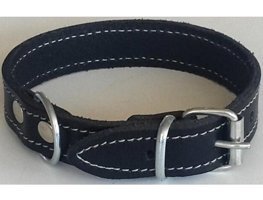 Le-Sar Ls-10 Ayarlanabilir Köpek Tasması 2.5 x 40 cm Çok Renkli