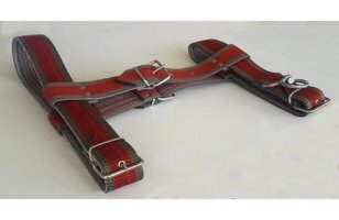 Le-Sar Ls-70 Ayarlanabilir Köpek Tasması Çok Renkli