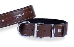 Doggie Konfor İsimli Ayarlanabilir Boyun Köpek Tasması 4 x 52 - 60 cm Kahverengi
