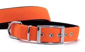 Doggie Elit Ayarlanabilir Boyun Köpek Tasması 3 x 42 - 50 cm Turuncu