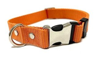 Ehlipet Ayarlanabilir Boyun Köpek Tasması 35 - 55 cm Turuncu