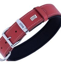 Doggie Ayarlanabilir Boyun Köpek Tasması 3 x 42- 50 cm Kırmızı