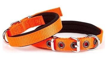 Doggie Konfor Ayarlanabilir Boyun Köpek Tasması Turuncu