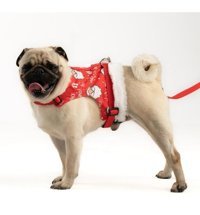 Patipatron Kaçış Önleyici Ayarlanabilir Göğüs Köpek Tasması XS Çok Renkli