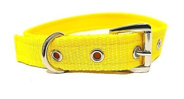 Ehlipet Ayarlanabilir Boyun Köpek Tasması 35 - 50 cm Sarı