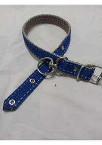 Kozaklı Ayarlanabilir Boyun Köpek Tasması 2.5 x 60 cm Mavi
