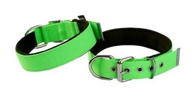 Actirex Ayarlanabilir Boyun Köpek Tasması 1.5 x 38 cm Yeşil