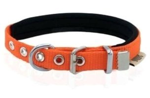 Doggie Konfor Ayarlanabilir Boyun Köpek Tasması 1.5 x 20 - 25 cm Turuncu