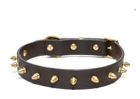 CecePet Thor Ayarlanabilir Köpek Tasması 46 - 55 cm Kahverengi