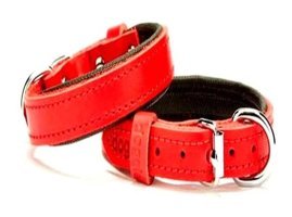 Doggie Comfort Ayarlanabilir Boyun Köpek Tasması Kırmızı