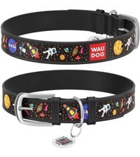 Waudog İsimli Ayarlanabilir Boyun Köpek Tasması 1.2 x 18 - 24 cm Çok Renkli