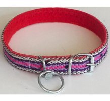 Le-Sar Ls-15 Ayarlanabilir Köpek Tasması 2.5 x 60 cm Çok Renkli