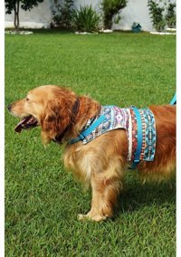 Patipatron Kaçış Önleyici Ayarlanabilir Göğüs Köpek Tasması XS Mavi