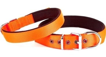 Doggie Konfor Ayarlanabilir Boyun Köpek Tasması 2.5 x 37 - 45 Turuncu