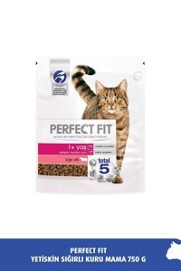 Perfect Fit Sığır Etli Yetişkin Kuru Kedi Maması 750 gr