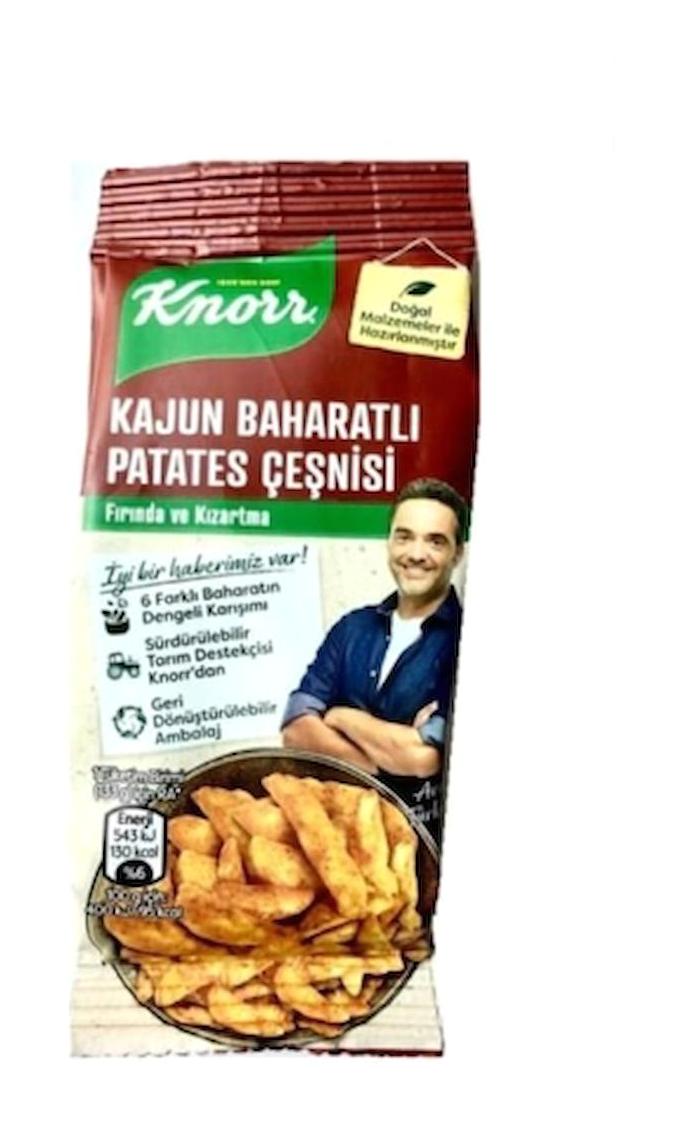 Knorr Patates Baharatı 4x60 gr