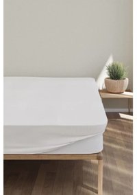 Divanev Fitted Pamuk Lastikli 60X120 cm Tek Kişilik Alez