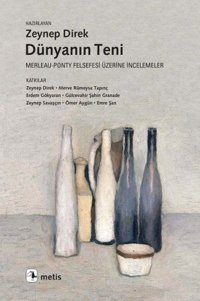 Dünyanın Teni Metis Yayınları
