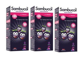 Sambucol Kids Karamürverli Yetişkin Vitamin 3x120 ml