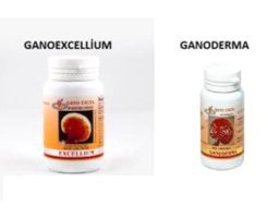 Gano Ganoderma Ganoexcellium Aromasız Yetişkin Vitamin 90 Kapsül