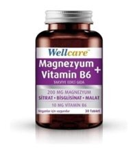 Wellcare Magnezyum Vitamin B6 Aromasız Yetişkin Vitamin 30 Kapsül