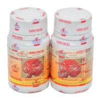 Garmin Ganoderma Aromasız Yetişkin Vitamin 3x90 Kapsül