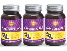 Force Nutrition Sambuforce Bitki Ekstralar Yetişkin Vitamin 60 Kapsül