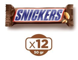 Snickers Fıstıklı Çikolata 12x50 gr