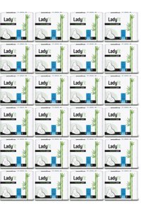 Lady Fit Bambu Organik Antialerjik İnce Gece 6'lı Hijyenik Ped 24 Adet