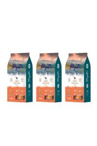 Mystic Somon Tüm Irklar Yetişkin Köpek Maması 3x2.5 kg