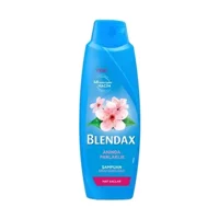 Blendax iraz Çiçeği Mat Saçlar İçin Şampuan 6x470 ml