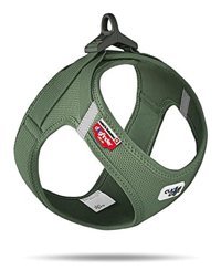 Curli Air-Mesh S Ayarlanabilir Göğüs H Tipi Köpek Tasması Yeşil