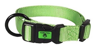 Hamilton Ayarlanabilir Boyun Köpek Tasması Limon