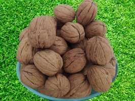 Bengi Ticaret Organik Tane Kabuklu Ceviz 2 kg