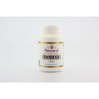 Cakeland Şekersiz Vanilin 80 gr