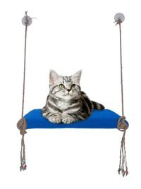 Patiderm Vantuzlu 35 x 50 cm Sepet Kedi Yatağı Kırmızı