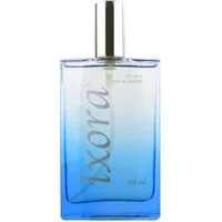 İxora E247 Gallant EDP Baharatlı-Meyvemsi Erkek Parfüm 100 ml