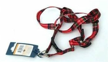 Eastland Sırt Köpek Tasması Kırmızı