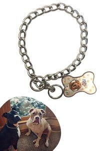 Buffer Boyun Köpek Tasması Metal
